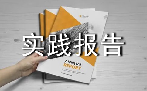 【推荐】社会实践报告15篇