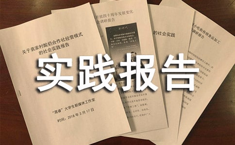 【推荐】社会实践报告集合10篇