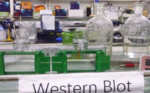 实验室实习个人总结