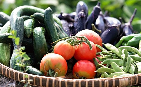 蔬菜买卖合同合集15篇