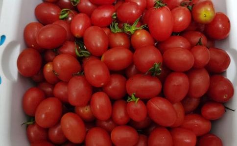 水果买卖合同范本