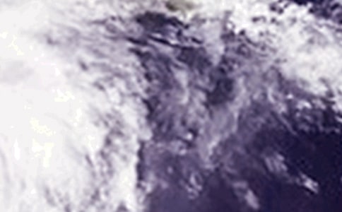 中班安全台风来了教案