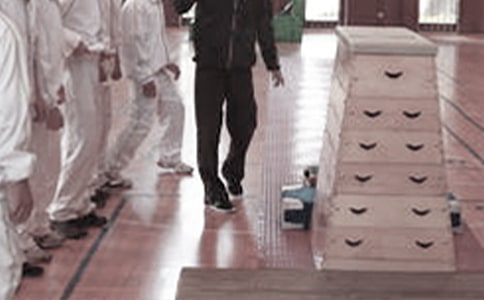 体育教学工作总结【优】