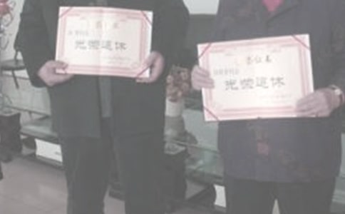 【精华】退休申请书的申请书4篇