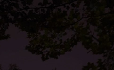 简短的优美的晚安微信问候语82条