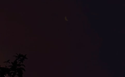 常用个性晚安感言（通用35句）