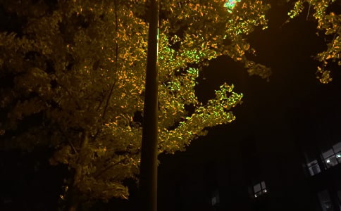 常用唯美的晚安问候语语录51句