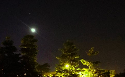 实用的晚安问候语42句