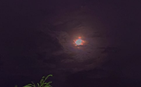 2025年精选温暖的晚安问候语语录合集66条