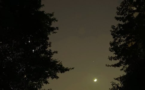 简单的温馨的晚安问候语语录锦集37条