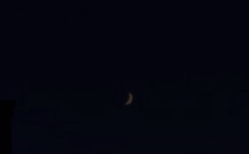 精选温馨的晚安QQ问候语摘录47条