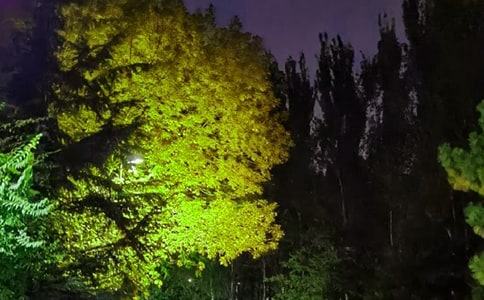 【热门】优美的晚安朋友圈问候语汇总50句