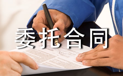 委托合同范本13篇