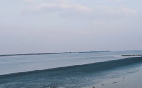 我们看海去读后感（通用5篇）