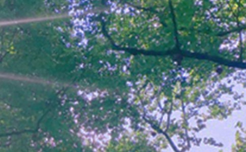 治愈系午安QQ问候语集锦51句