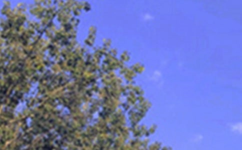 温暖的午安微信问候语41条