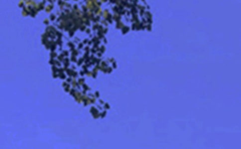 治愈系午安QQ问候语合集67条