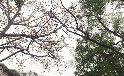 2024年治愈系午安微信问候语28条