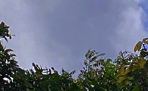 唯美的午安问候语大集合91句