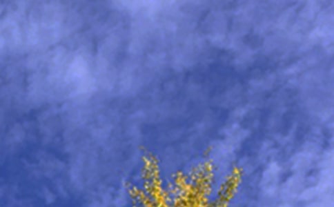 午安问候语48句