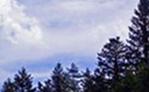 午安问候语短信大集合86条