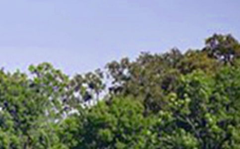 2024年治愈系午安QQ问候语合集84句