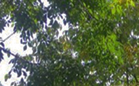 2023年优美的午安QQ问候语合集59条