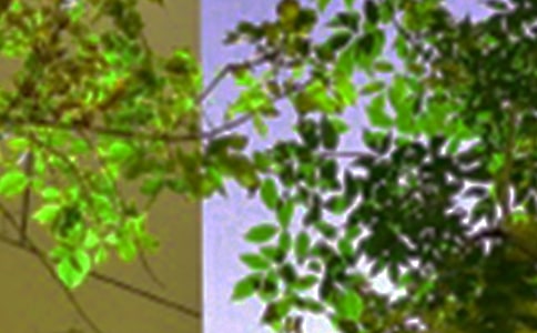 2023年美好的午安微信问候语35句