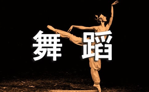 舞蹈老师教学计划