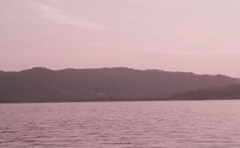 《西湖的“绿”》教学设计