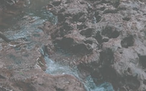 读《小溪流的歌》有感