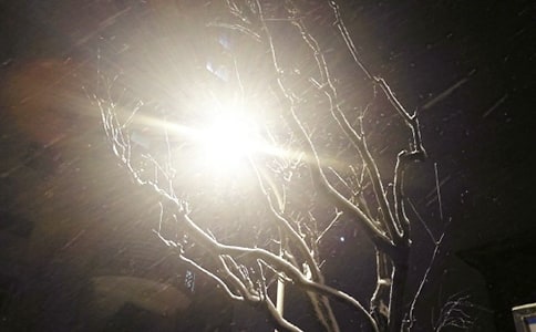 下雪说说留言汇总50句