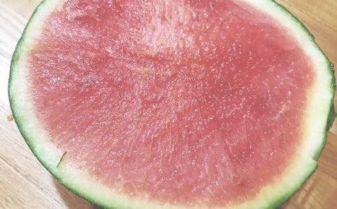 读《夏日历险》有感