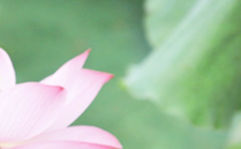 夏至问候语集合53句