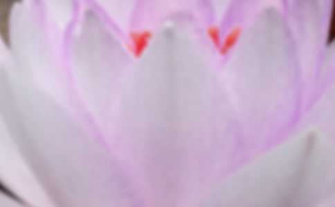 2024年夏至问候语46条