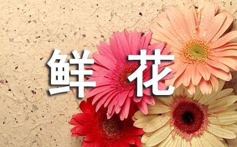《对鲜花》教学反思（优选）