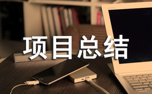 软件工程个人项目总结