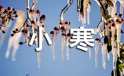 小寒问候语31条