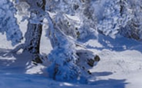 明日小雪适合发朋友圈的简短祝福语