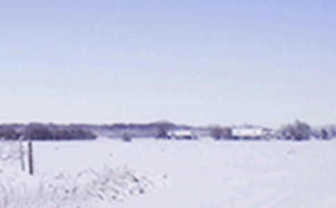 小雪问候语摘录35条