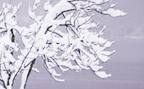 小雪祝福问候语