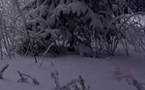 2023年小雪问候语集合53句