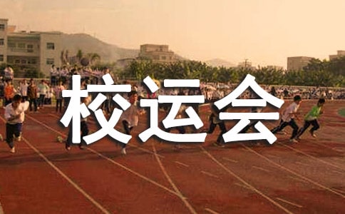 校运会个人活动总结