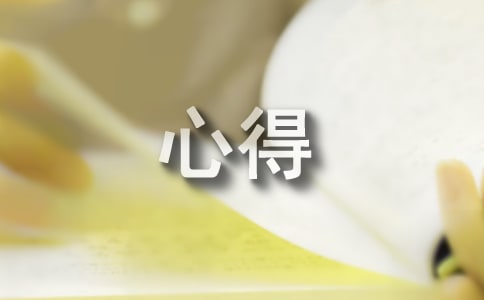 守护甜心观看心得