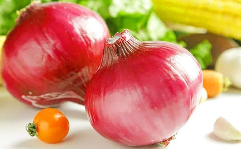 洋葱头历险记的读后感范文