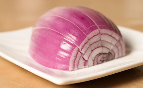 《洋葱头历险记》读后感(15篇)