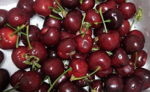 《樱桃沟的春天》读后感