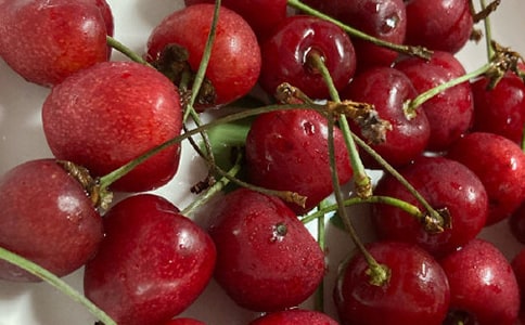 《樱桃沟的春天》读后感15篇