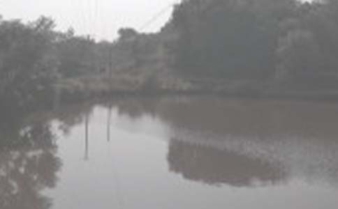 简易鱼塘承包合同