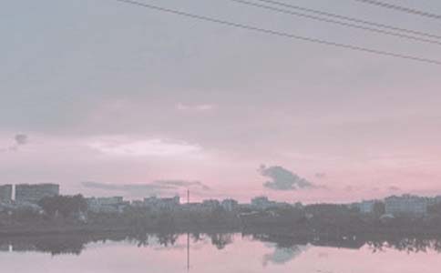 【精选】鱼塘承包合同4篇